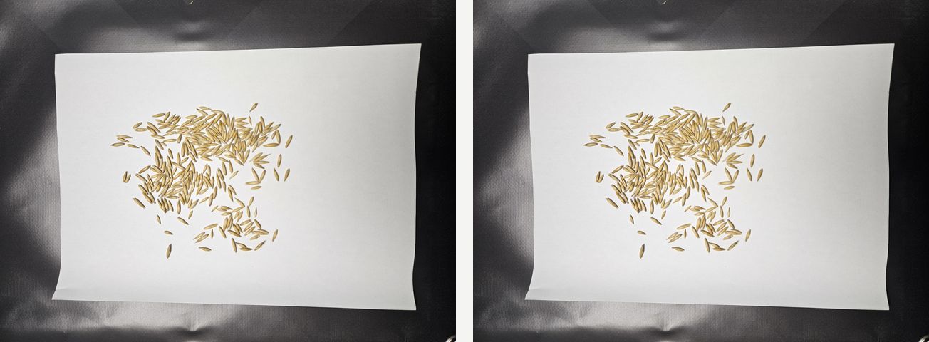 Links das Foto, wie es in der Datei liegt, rechts nach dem Drehen